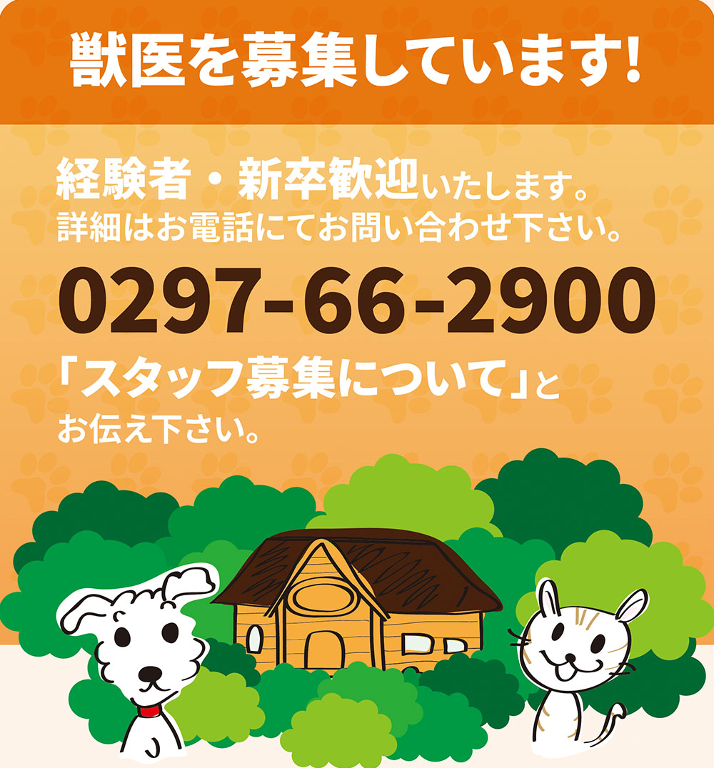 獣医を募集しています！